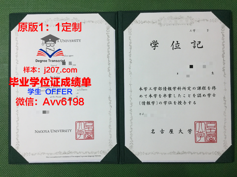 国际观光专门学校名古屋校区毕业证成绩单：开启国际旅游业的璀璨未来