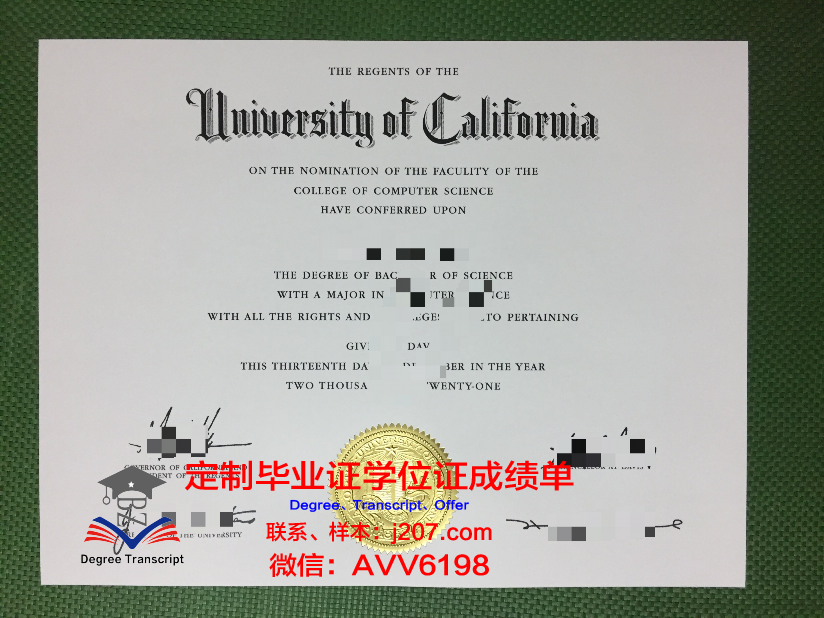 国际培训学校毕业证原版(国际培训学校毕业证原版图片)
