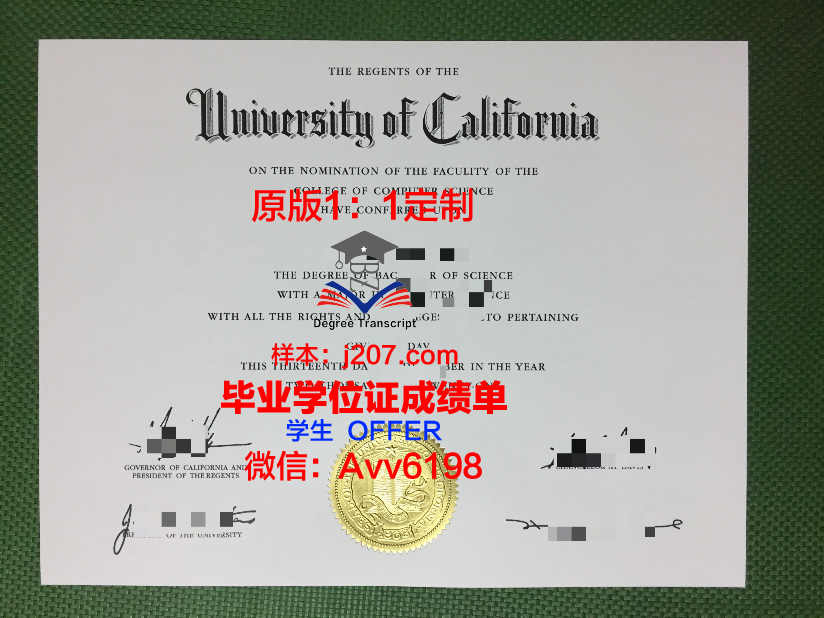图卢兹国立高等农艺学院毕业证翻译(图卢兹大学商学院)