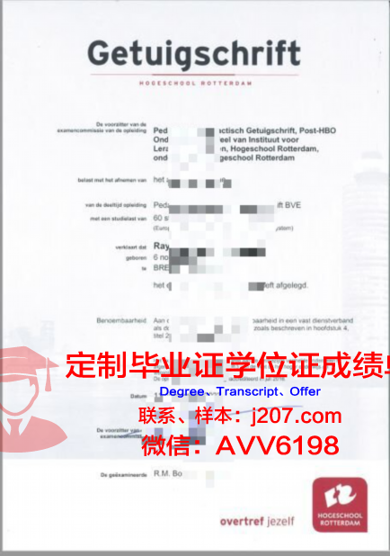 图卢兹高等美术与表演学院研究生毕业证书(图卢兹商学院在国内认可度)