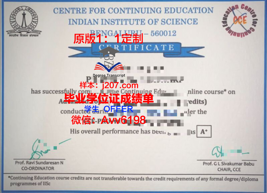 图卢兹国立应用科学学院毕业证电子版(图卢兹研究生院)