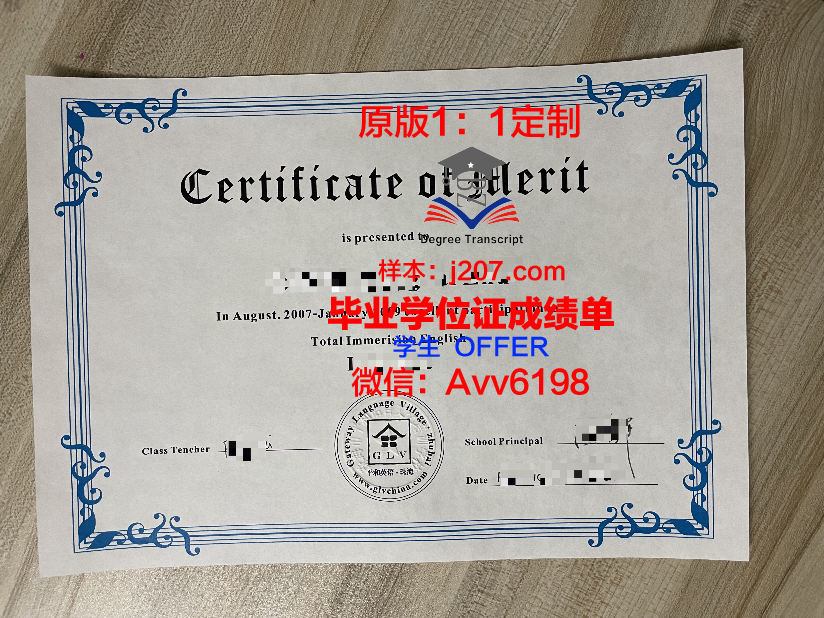 图尔-昂热-勒芒艺术与设计高等学院毕业证书(勒图尔勒模型)