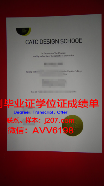 国际设计与服务学院毕业证书图片模板(国际设计专业)
