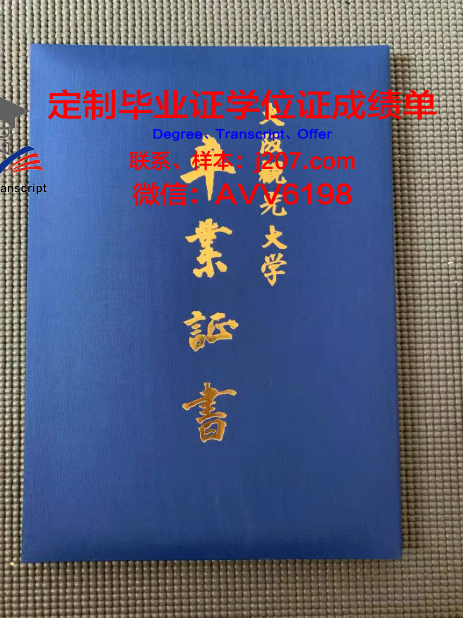 国际观光专门学校滨松校区学位证书(国际观光专业是什么)