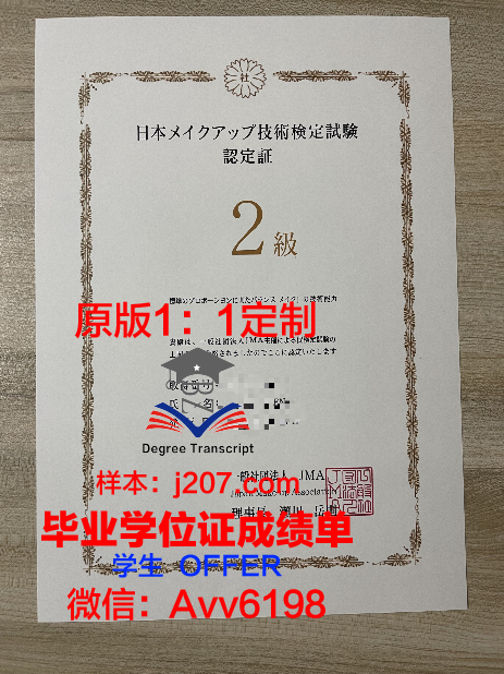 图尔-昂热-勒芒艺术与设计高等学院毕业证书(勒图尔勒模型)