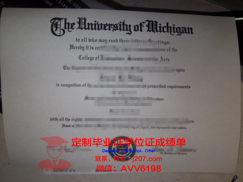 图卢兹第三大学的毕业证都能做(图卢兹第三大学的毕业证都能做什么工作)