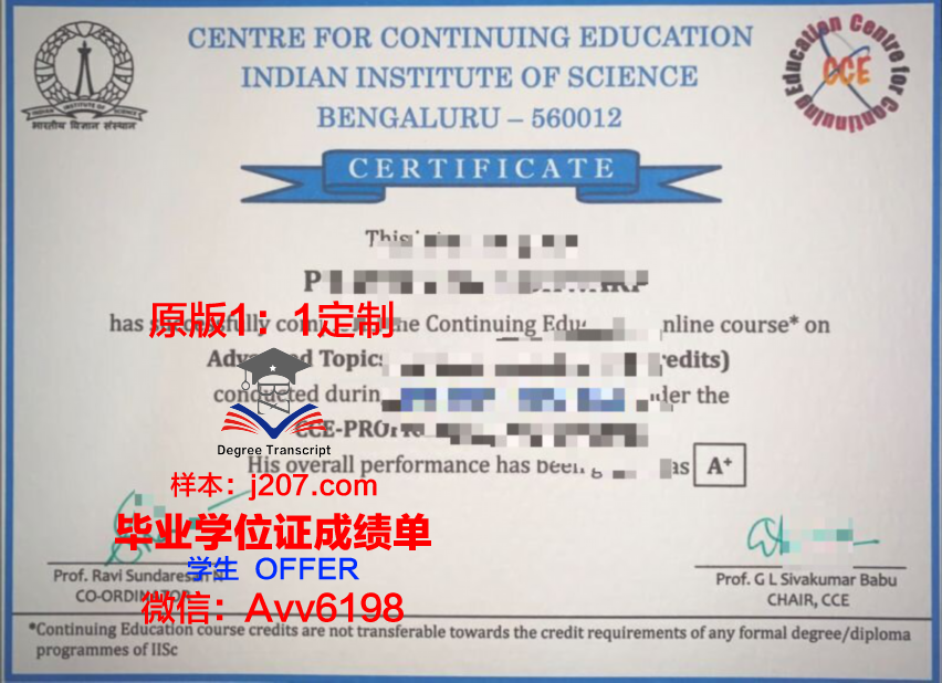 图卢兹国立应用科学学院毕业证书图片(图卢兹综合理工学院)