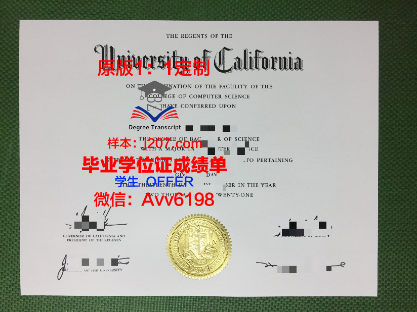 国际武道大学毕业证电子版