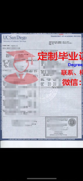 国际大学学位成绩单定制图片：现代伪造技术的挑战与反思