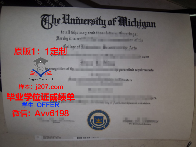 图卢兹第一大学毕业证成绩单：一份跨国教育的见证