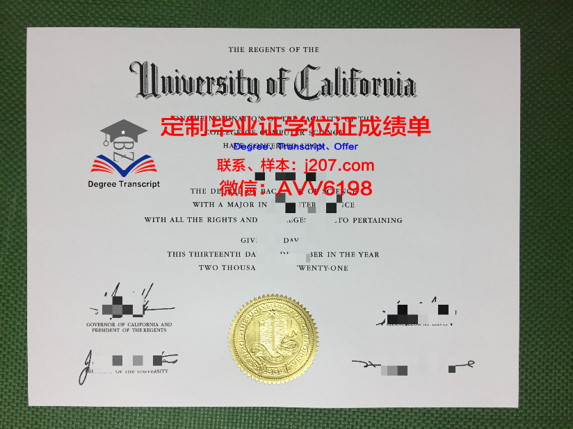 国际管理学院LINK本科毕业证：开启全球化管理职场的金钥匙