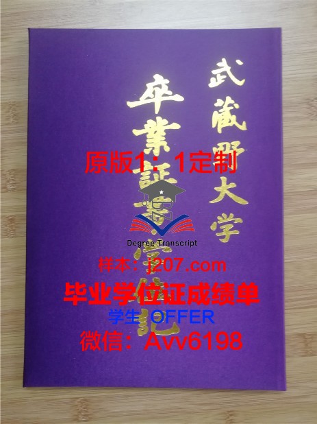 图卢兹第三大学毕业证壳子(图卢兹大学本科申请)