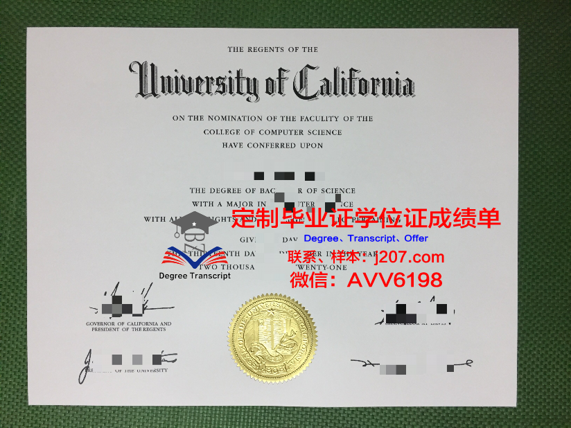 国际管理学院LINK硕士毕业证：开启全球化管理新篇章