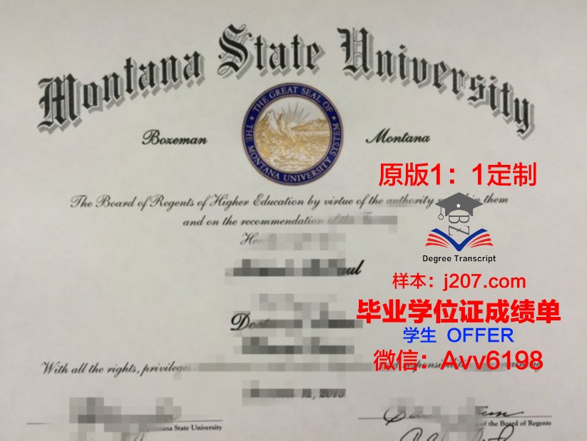 国际法律经营大学院大学博士毕业证(国际法博士就业前景)