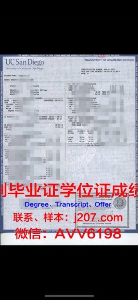 国立音乐大学成绩单：人才培养的黄金标准