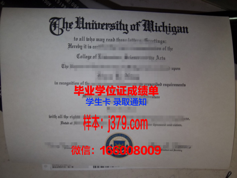 赫尔辛基大学毕业证长什么样(赫尔辛基大学什么专业好)
