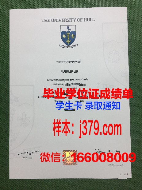 赫尔大学毕业证书图片模板(英国赫尔大学毕业证什么样)