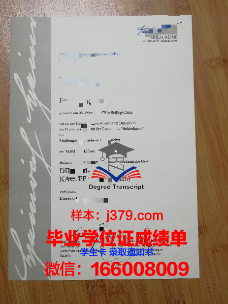 路德维希港应用技术大学diploma证书(路德维希港在德国哪里)