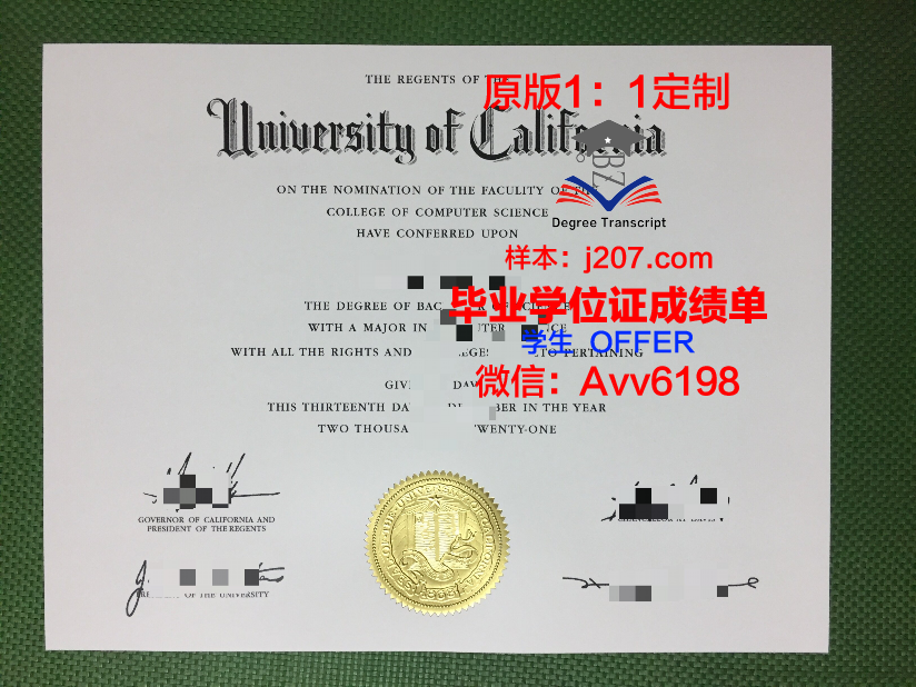 国际管理与市场营销中心硕士毕业证：开启全球化职业新篇章