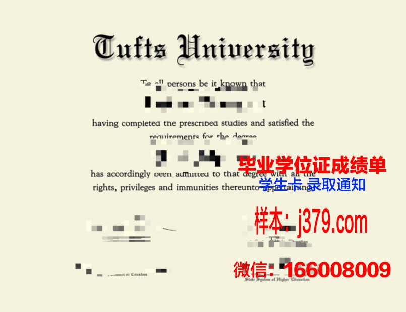 塔夫斯大学毕业证是什么样子(塔夫斯大学毕业证是什么样子的)