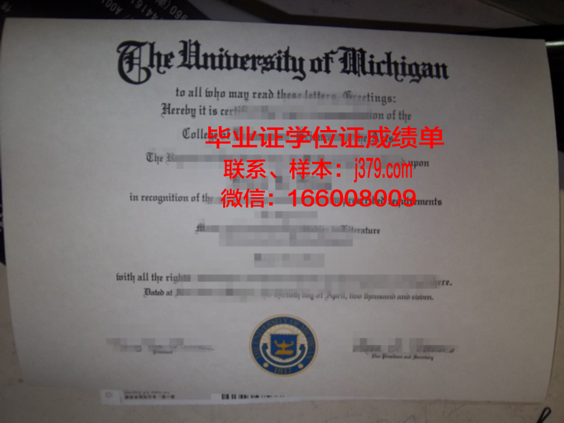 俄罗斯科学院西伯利亚分院油气地质学与地球物理学研究所毕业证外壳