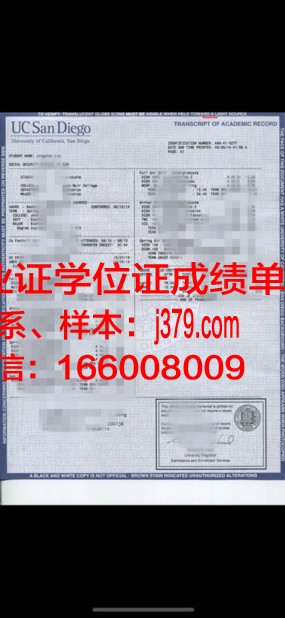 国际法律经营大学院大学学位成绩单定制：打造个性化学术名片
