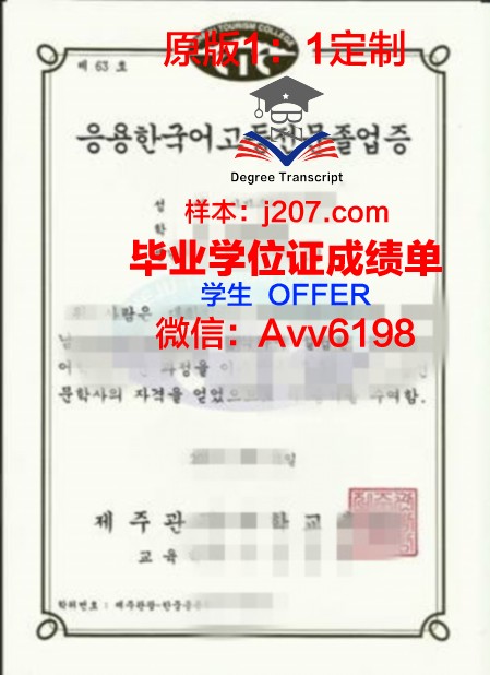 国际观光专门学校滨松校区毕业证书图片模板(国际观光专业是什么)