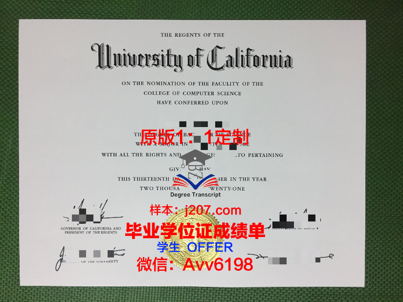 图卢兹第一大学本科毕业证：跨越国界的学术成就