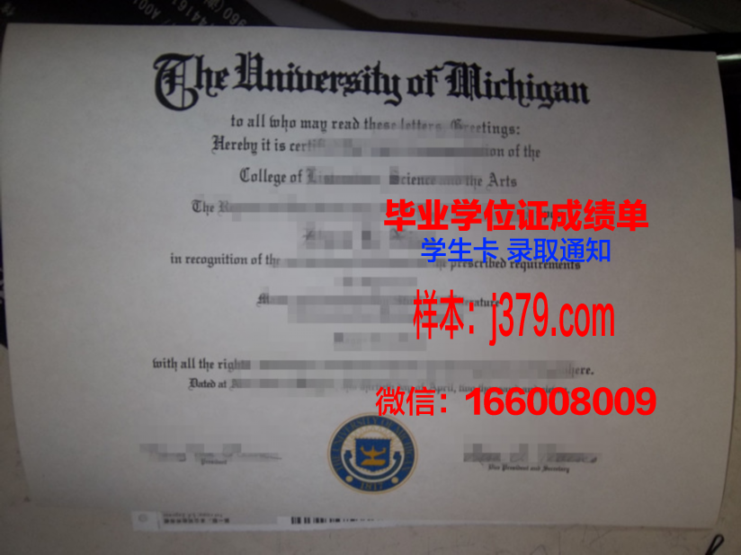 路易斯大学毕业证学位文凭学历Diploma