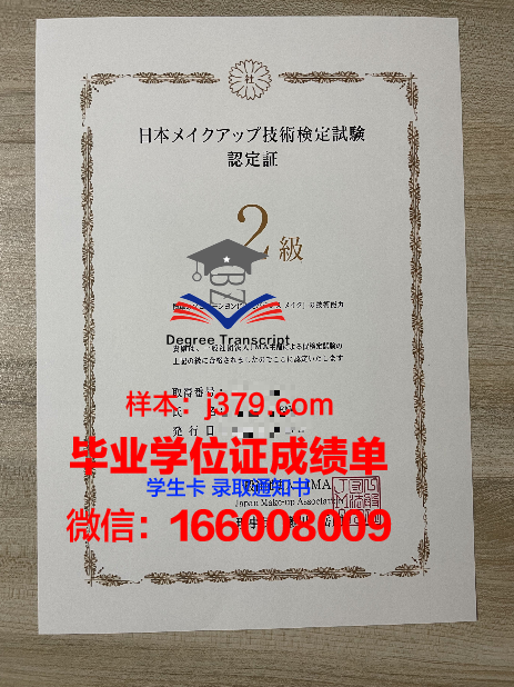 国际政治学位证书：开启全球视野的钥匙