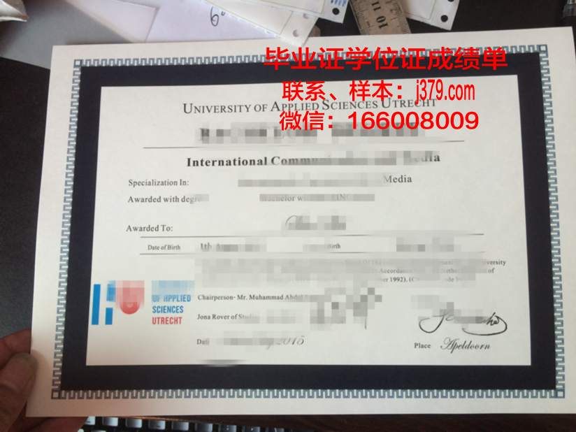 塞伊奈约基应用科学大学硕士毕业证书样本(塞伊奈约基图书馆案例分析)