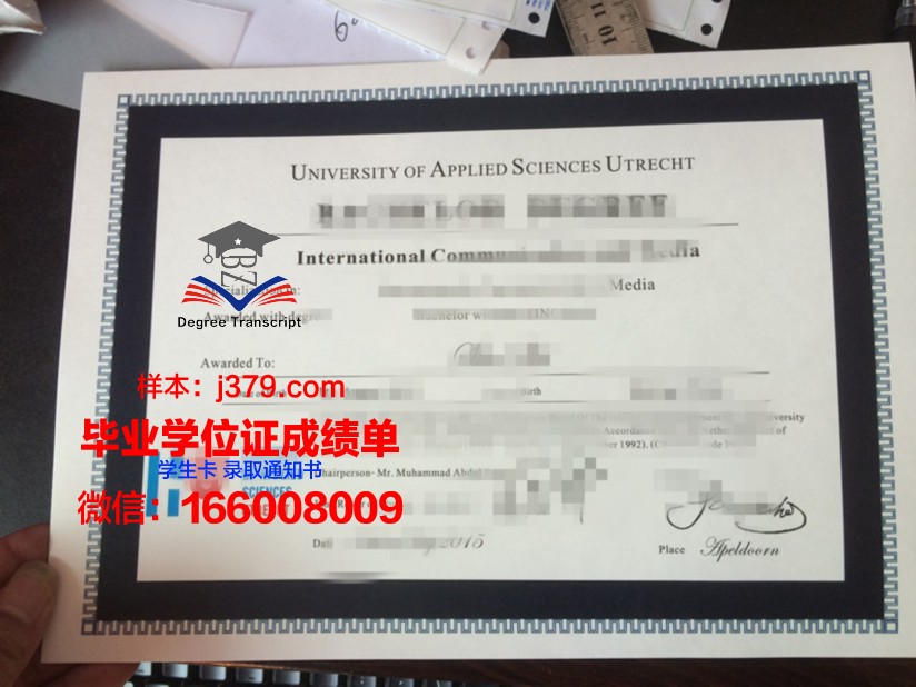 塞伊奈约基应用科学大学硕士毕业证书样本(塞伊奈约基图书馆案例分析)