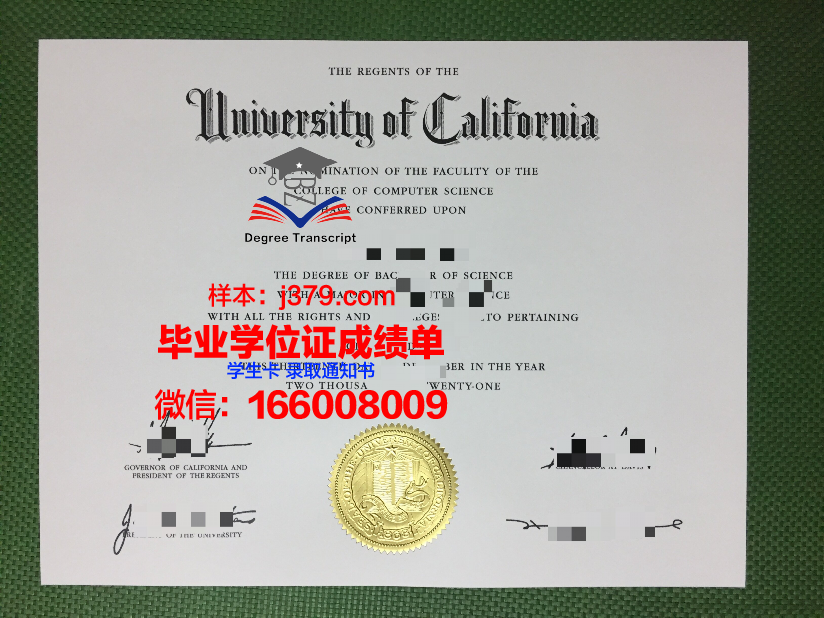 贾普毕业证成绩单：揭示教育制度下的个体命运