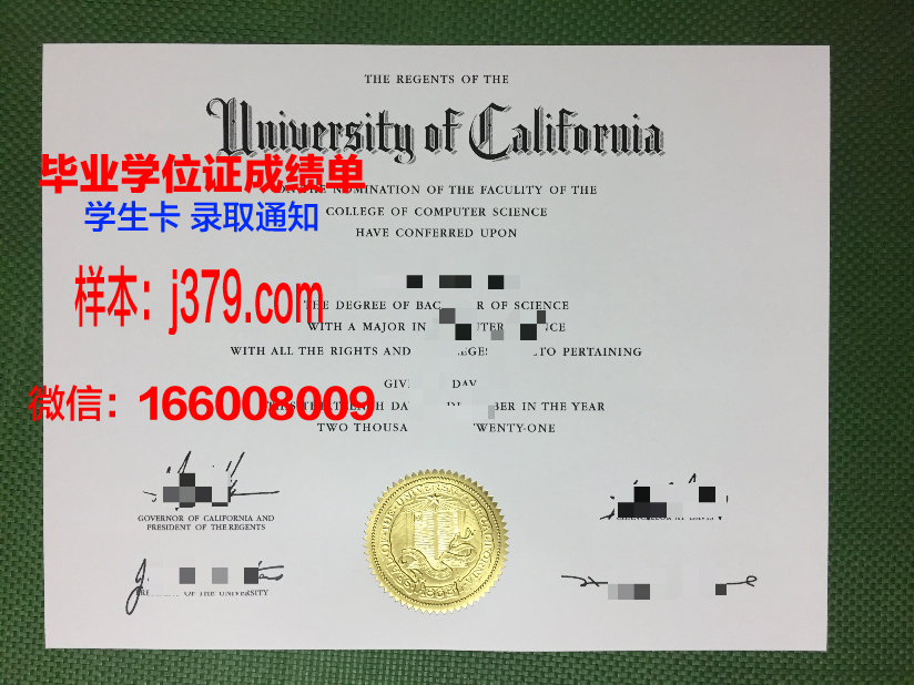 塔理工硕士毕业证：开启职业生涯的黄金钥匙
