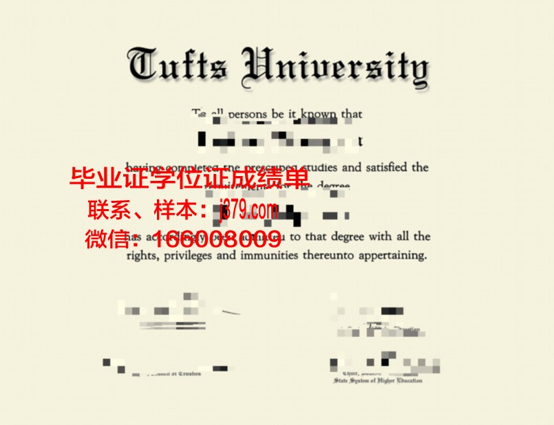 塔夫斯大学硕士毕业证(塔夫茨大学硕士怎么样)