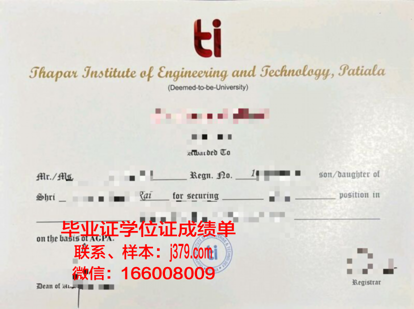 塔图伊技术学院博士毕业证：一份沉甸甸的荣誉