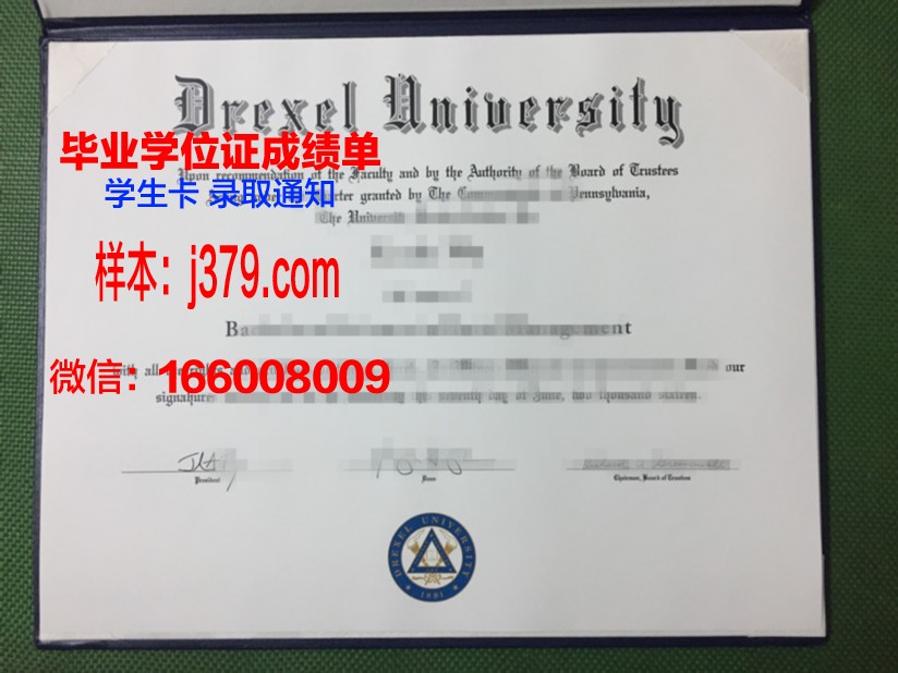 塞尔库克大学毕业证：开启国际化教育新篇章