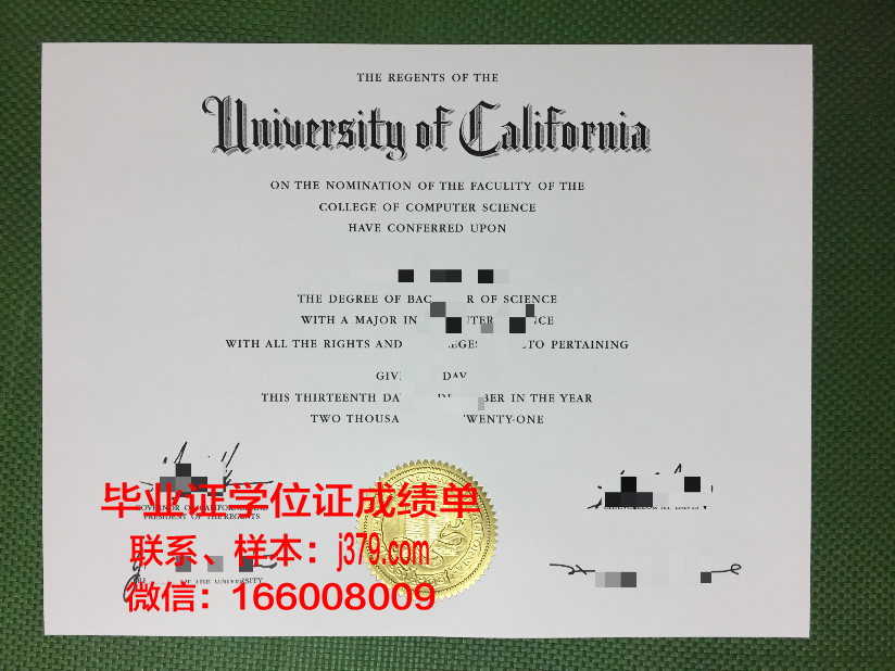 塞特多大学毕业证图片The Citadel Diploma