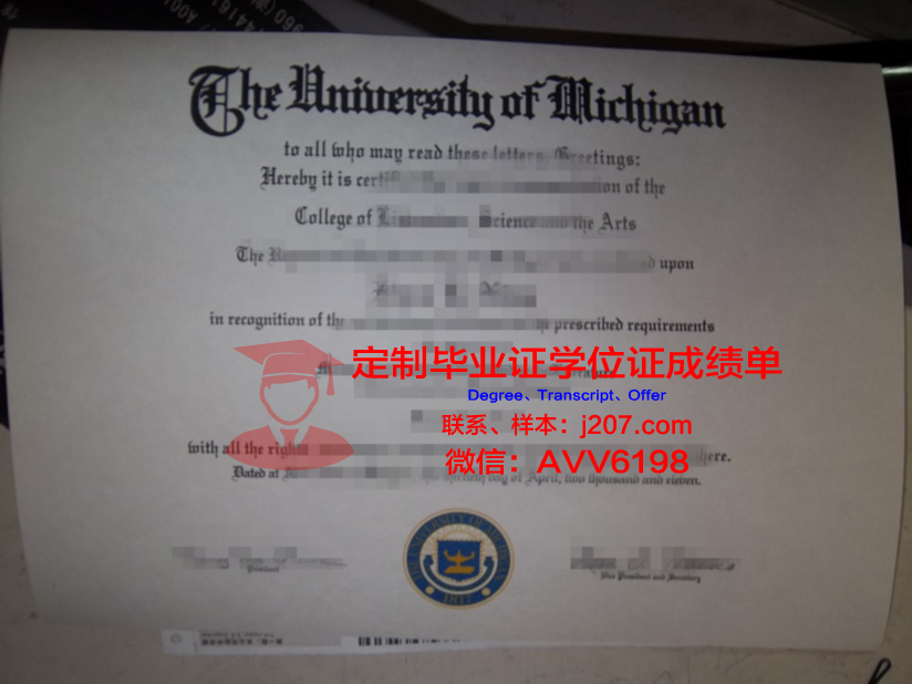图卢兹第一大学本科毕业证：跨越国界的学术成就