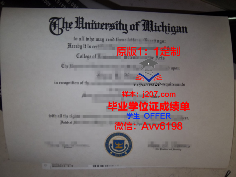 国际大学毕业证模板(国际本科毕业证)