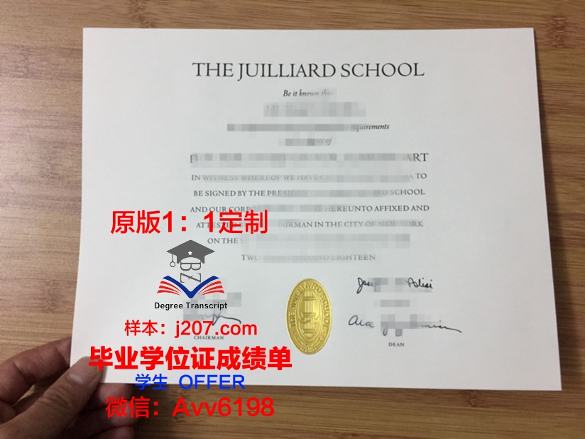 图卢兹高等美术与表演学院毕业证原版(图卢兹高等音乐学院)