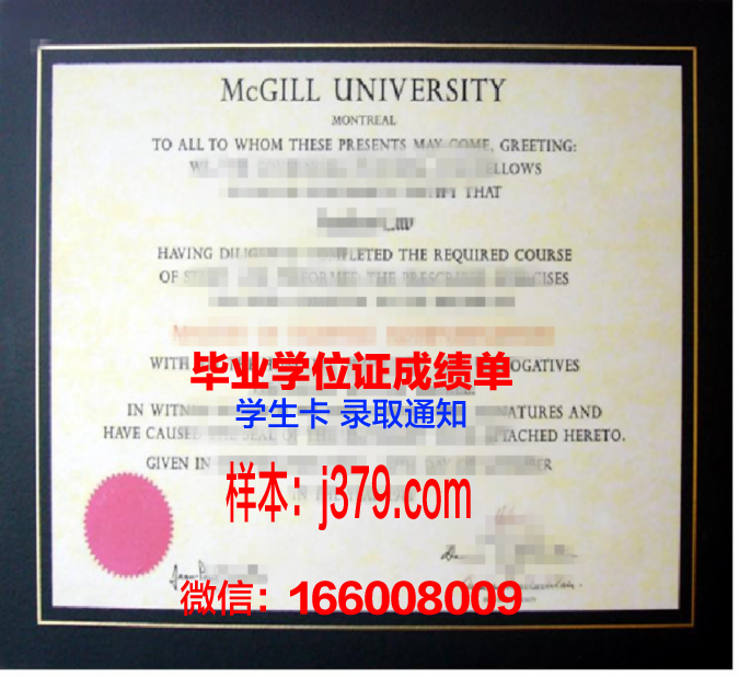 国际大学硕士学位证书图片大全：一窥全球高等学府的荣耀象征