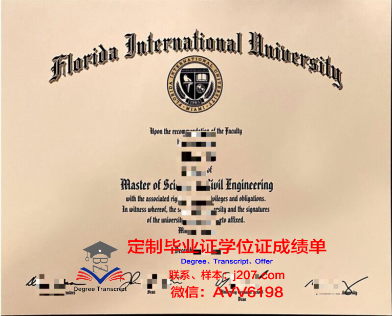 国际信息处理科学学院毕业证外壳(国际信息工程学院)