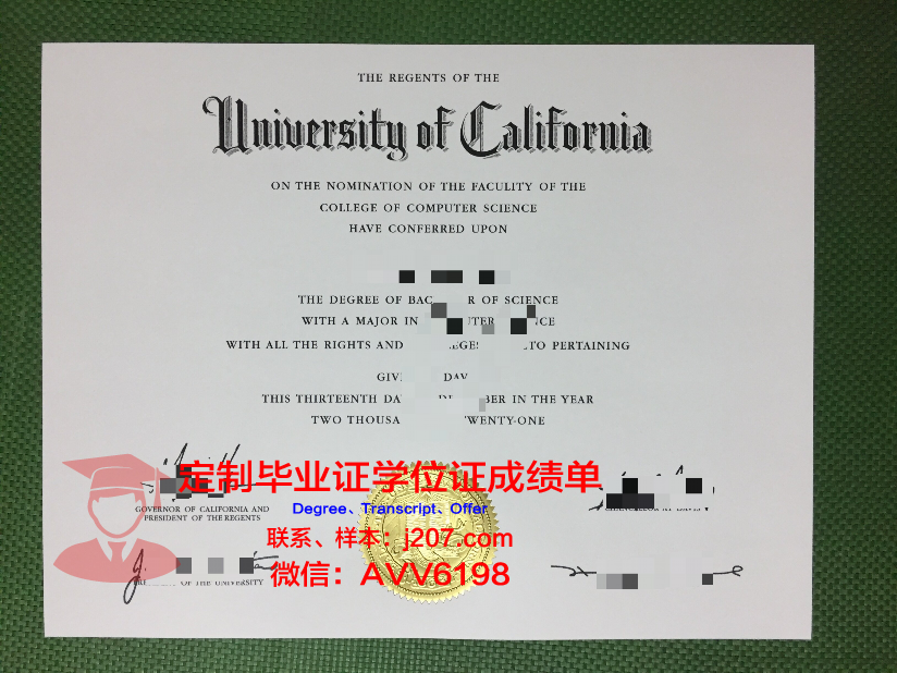 国际双业务专门学校毕业证壳子(国际生毕业证)