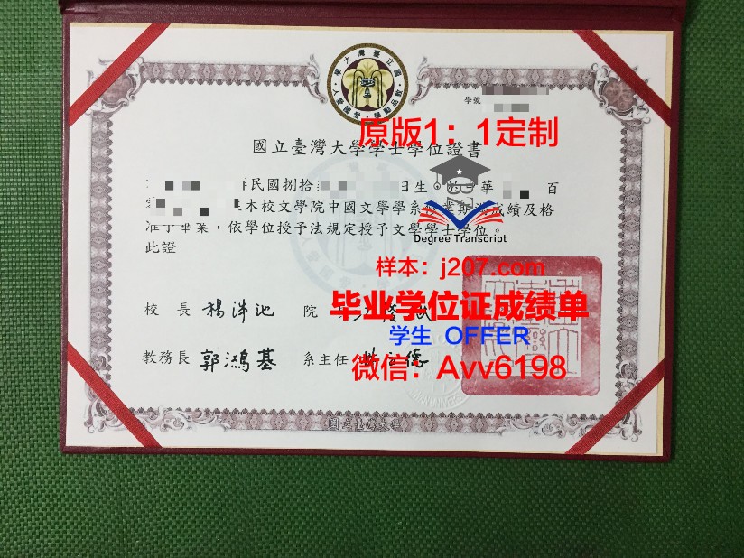 图卢兹国立综合理工学院diploma证书(图卢兹大学申请条件)