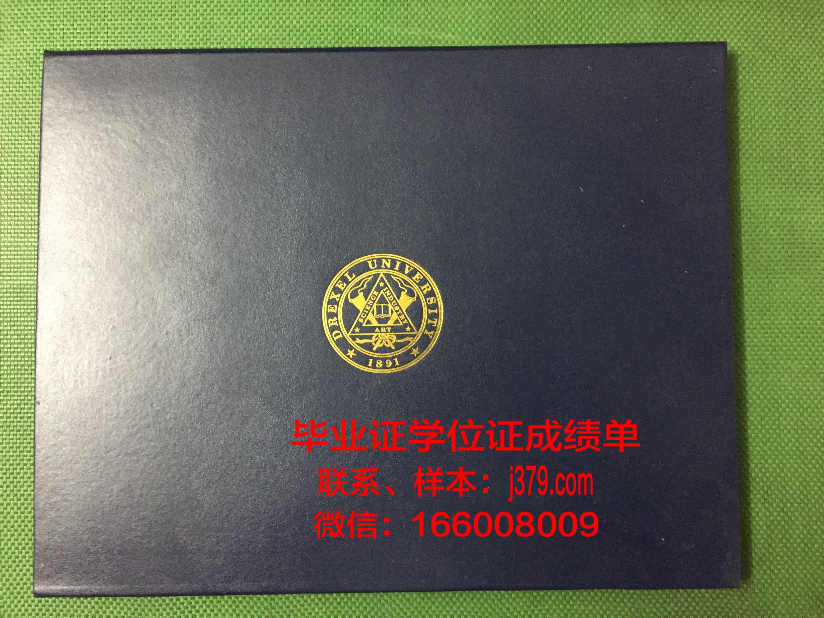 塞尔库克大学毕业证：开启国际化教育新篇章