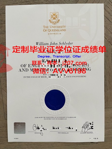 俄罗斯联邦政府财经大学毕业证书(俄罗斯联邦经济大学)
