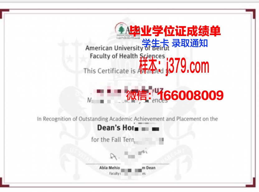 贝鲁特阿拉伯大学学生卡
