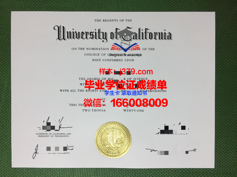 赫尔辛基大学毕业证长什么样(赫尔辛基大学什么专业好)