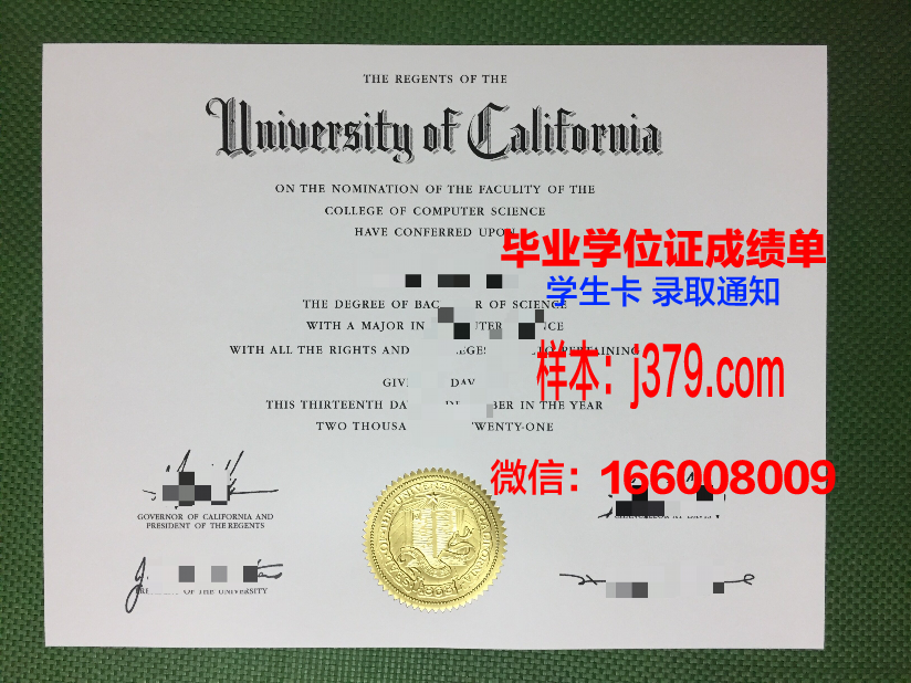费希塔迪普霍尔茨应用技术大学毕业证高清图(费尔霍普学校)
